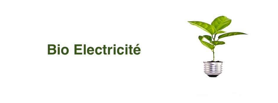 Bio-électricité